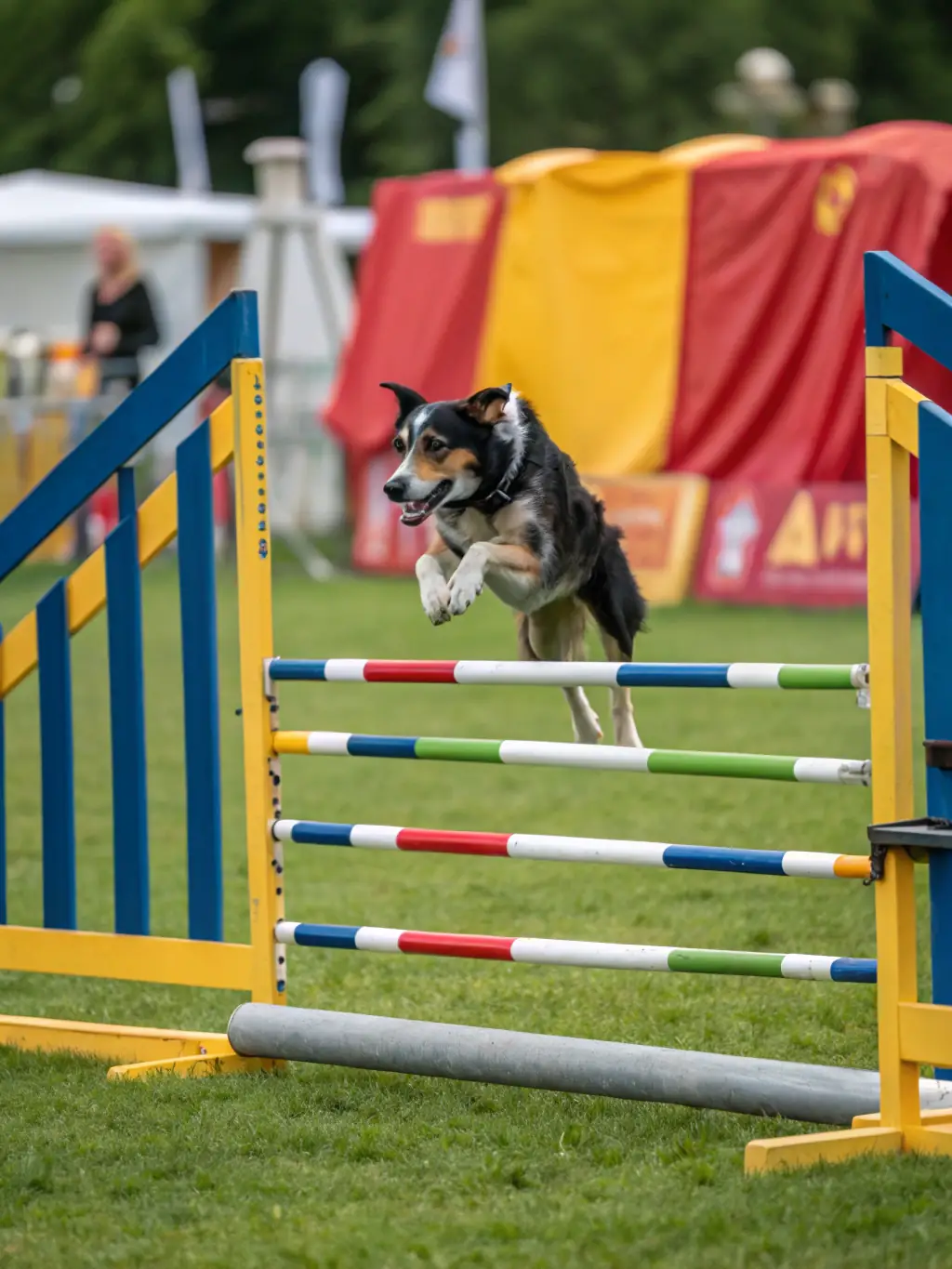 An action shot of a dog skillfully navigating an agility course under the guidance of its owner, highlighting the training and skill-building aspects of CANIPOTOS 22's programs.